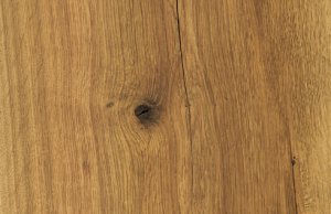 7031-HD-GiantWood-490×317